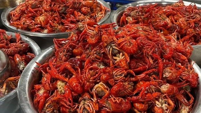 共有150余名中小正规滚球app平台