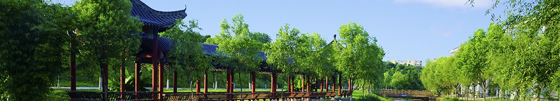 信阳市羊山新区新24大街48号