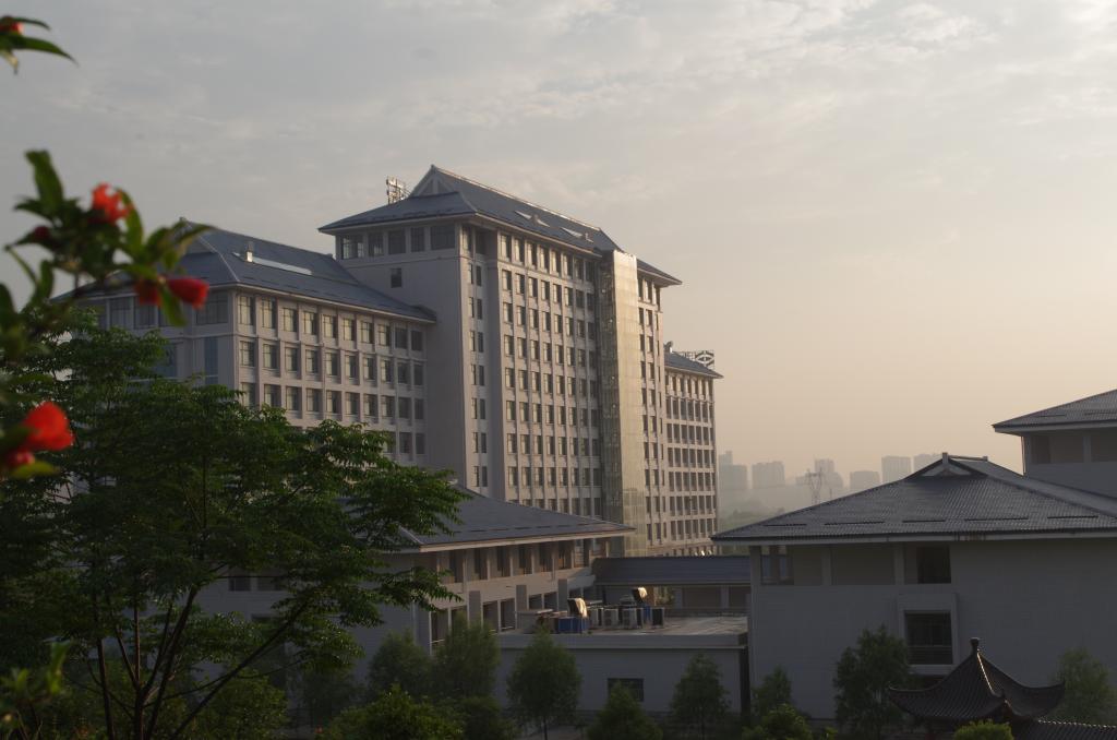 正规滚球app平台