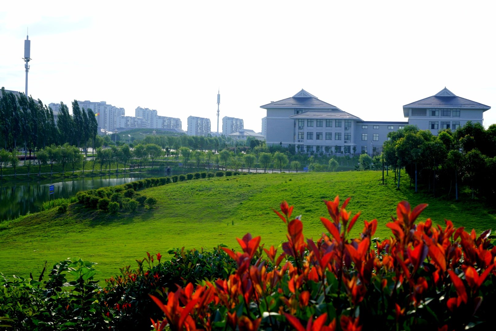 信息来源