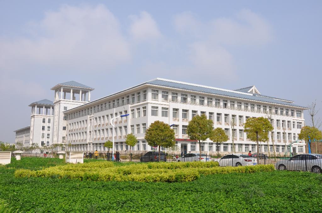 信息来源