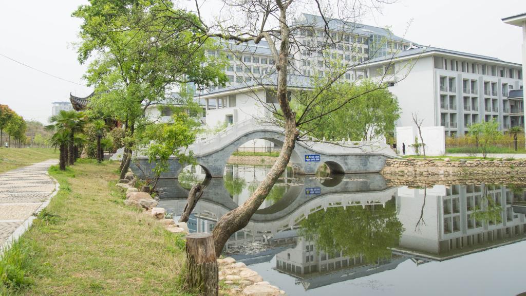 发布日期