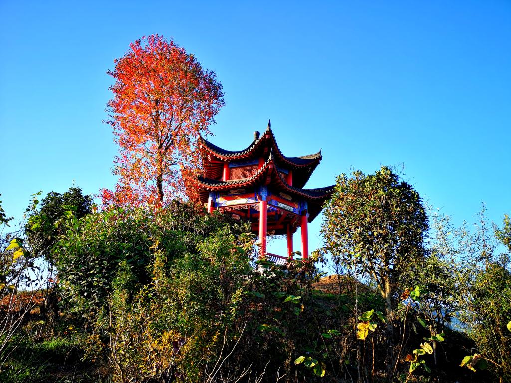 信息来源