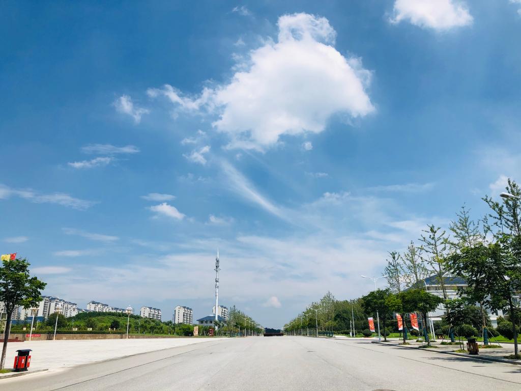 河南省招生代码